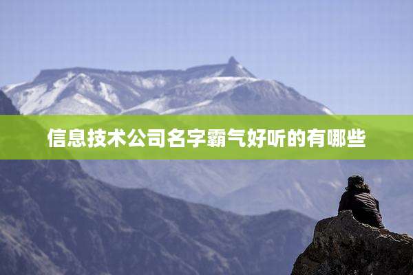 信息技术公司名字霸气好听的有哪些