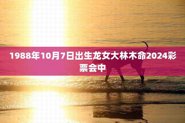 1988年10月7日出生龙女大林木命2024彩票会中