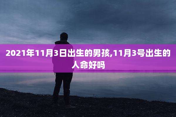 2021年11月3日出生的男孩,11月3号出生的人命好吗