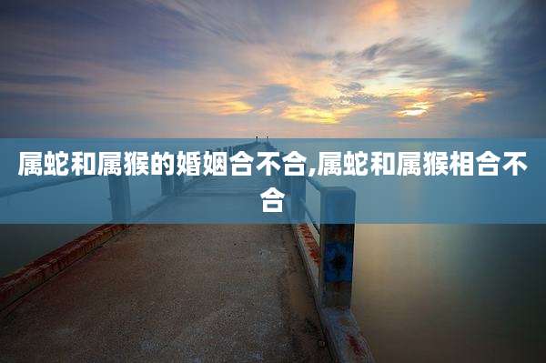 属蛇和属猴的婚姻合不合,属蛇和属猴相合不合