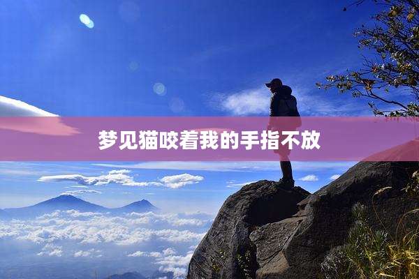 梦见猫咬着我的手指不放
