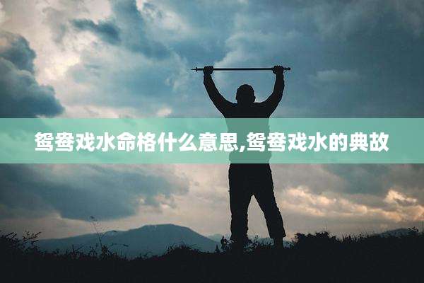 鸳鸯戏水命格什么意思,鸳鸯戏水的典故
