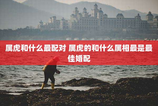 属虎和什么最配对 属虎的和什么属相最是最佳婚配