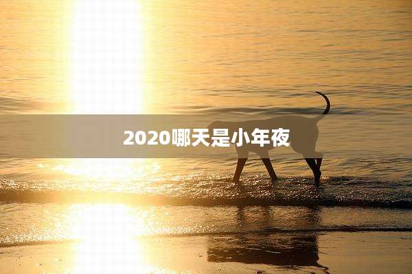 2020哪天是小年夜