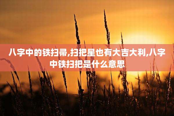 八字中的铁扫帚,扫把星也有大吉大利,八字中铁扫把是什么意思