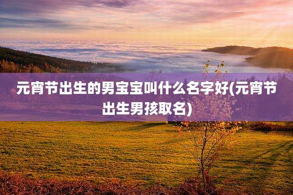 元宵节出生的男宝宝叫什么名字好(元宵节出生男孩取名)