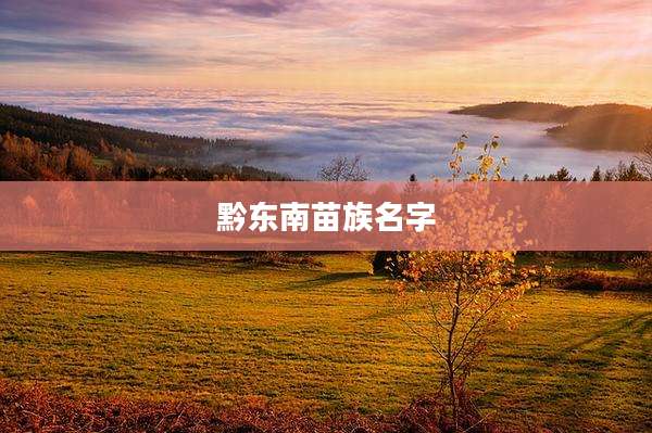 黔东南苗族名字
