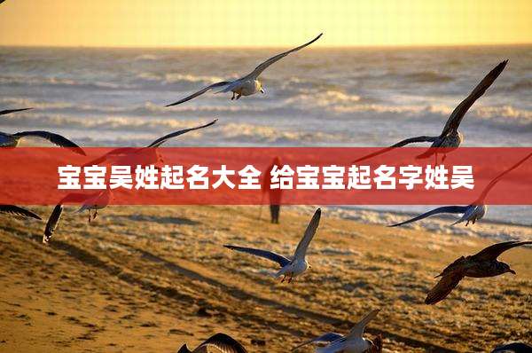 宝宝吴姓起名大全 给宝宝起名字姓吴