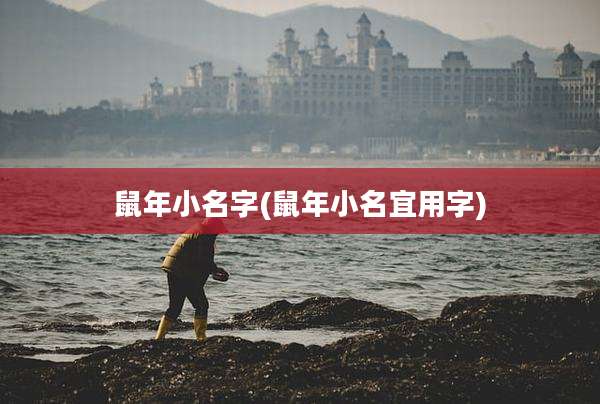 鼠年小名字(鼠年小名宜用字)