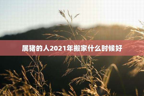属猪的人2021年搬家什么时候好