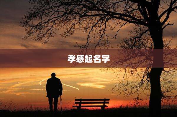 孝感起名字