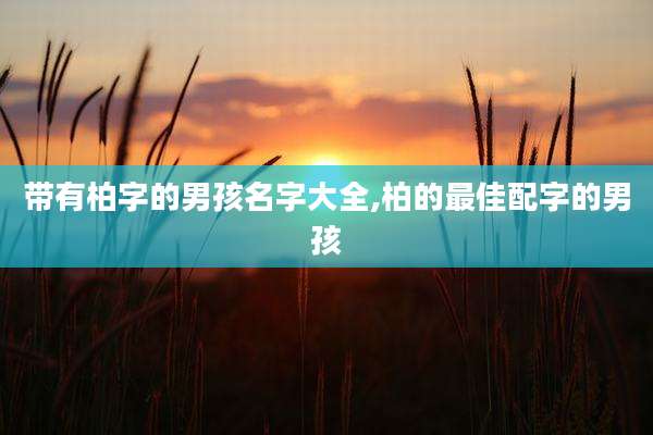带有柏字的男孩名字大全,柏的最佳配字的男孩