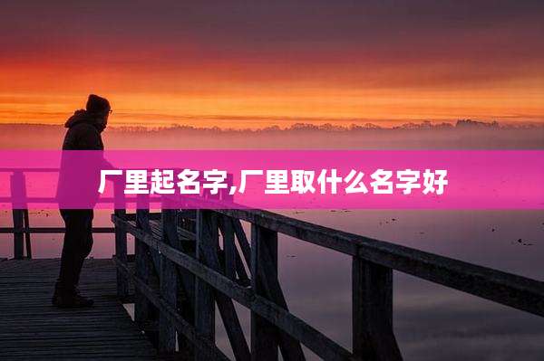 厂里起名字,厂里取什么名字好