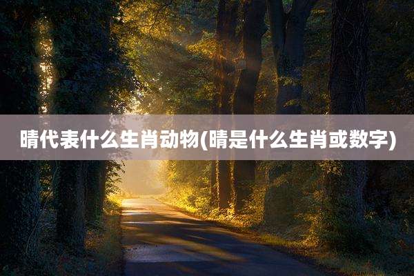 晴代表什么生肖动物(晴是什么生肖或数字)