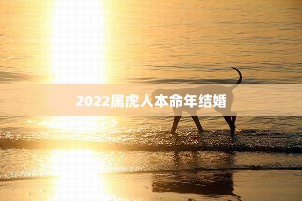 2022属虎人本命年结婚