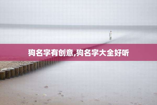 狗名字有创意,狗名字大全好听