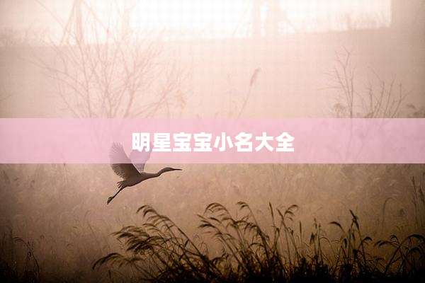 明星宝宝小名大全