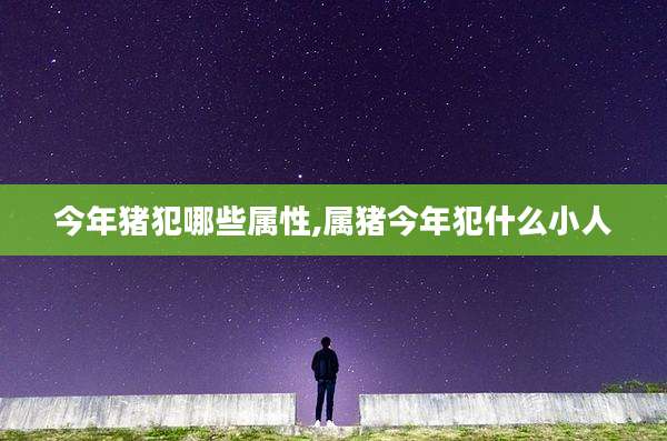 今年猪犯哪些属性,属猪今年犯什么小人