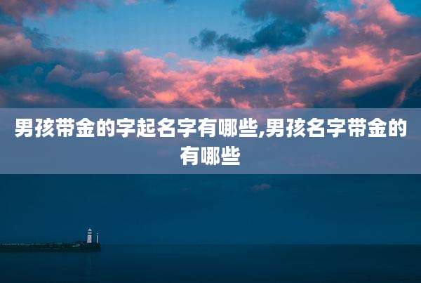 男孩带金的字起名字有哪些,男孩名字带金的有哪些