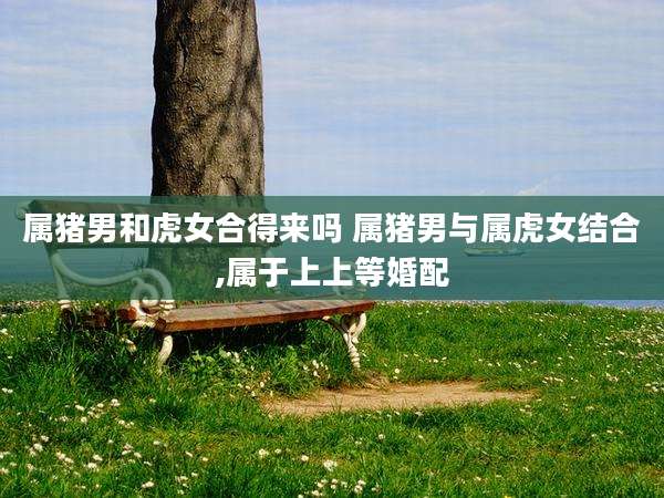 属猪男和虎女合得来吗 属猪男与属虎女结合,属于上上等婚配