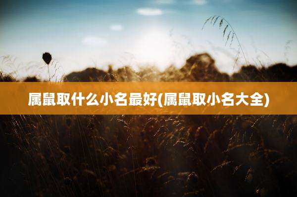 属鼠取什么小名最好(属鼠取小名大全)
