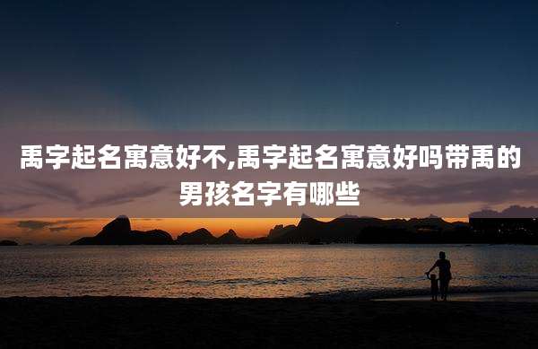 禹字起名寓意好不,禹字起名寓意好吗带禹的男孩名字有哪些