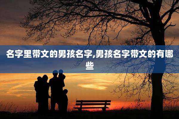 名字里带文的男孩名字,男孩名字带文的有哪些