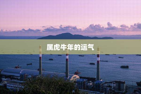 属虎牛年的运气