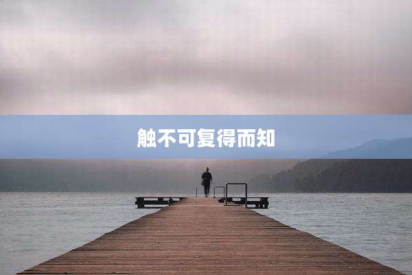触不可复得而知