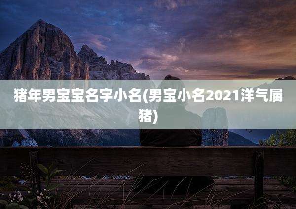 猪年男宝宝名字小名(男宝小名2021洋气属猪)