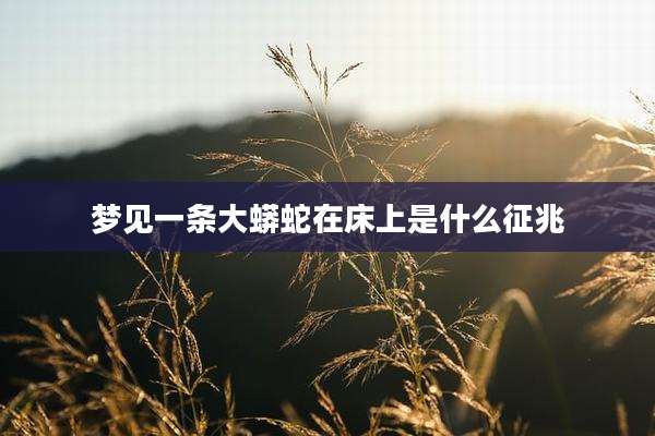 梦见一条大蟒蛇在床上是什么征兆