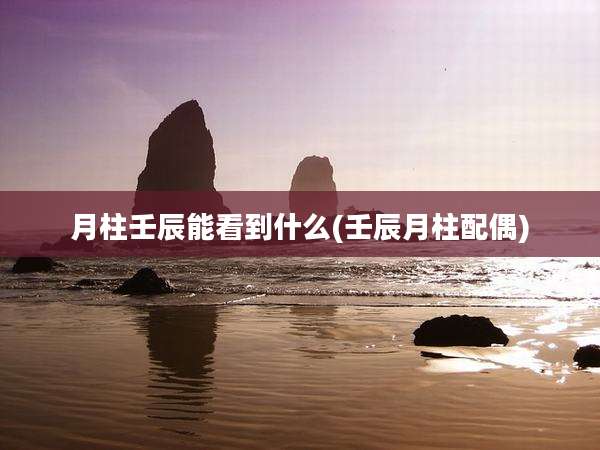 月柱壬辰能看到什么(壬辰月柱配偶)