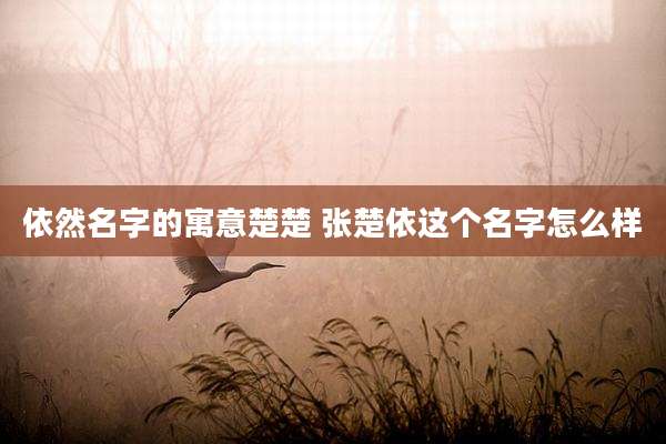 依然名字的寓意楚楚 张楚依这个名字怎么样