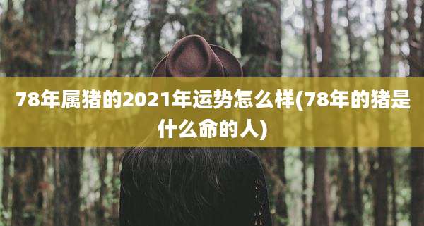 78年属猪的2021年运势怎么样(78年的猪是什么命的人)