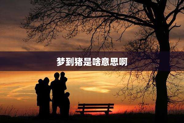 梦到猪是啥意思啊