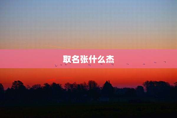 取名张什么杰