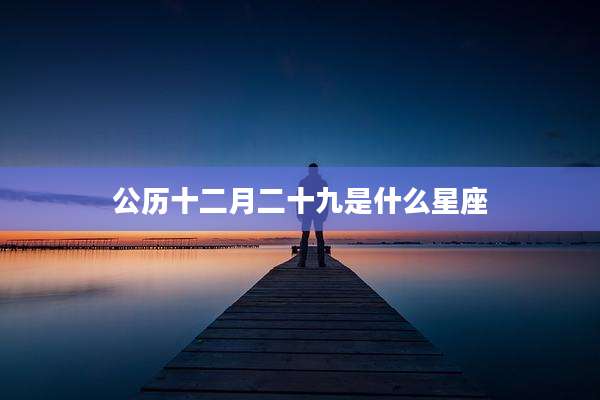 公历十二月二十九是什么星座