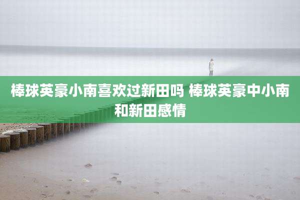 棒球英豪小南喜欢过新田吗 棒球英豪中小南和新田感情