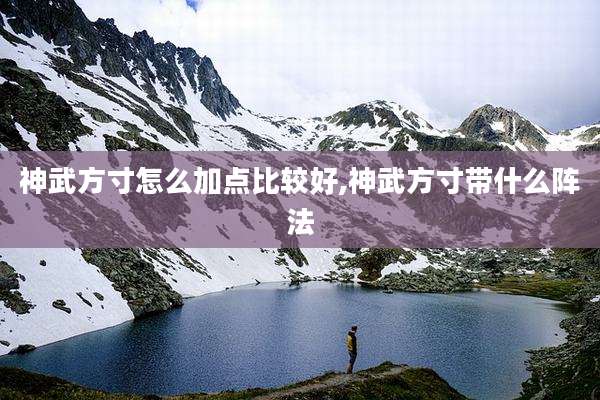 神武方寸怎么加点比较好,神武方寸带什么阵法