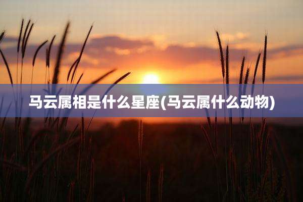马云属相是什么星座(马云属什么动物)