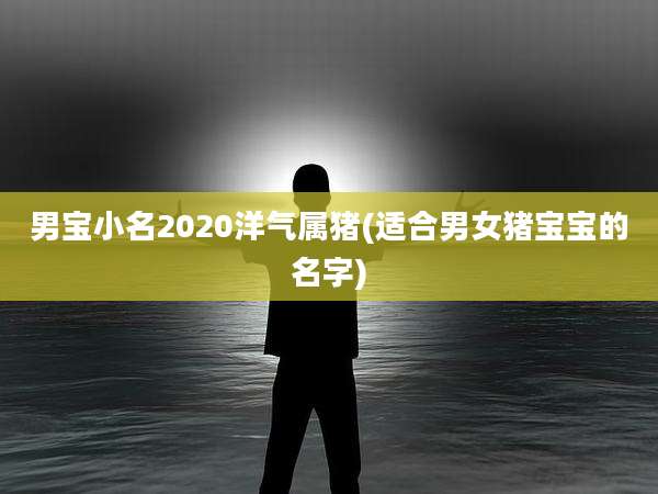 男宝小名2020洋气属猪(适合男女猪宝宝的名字)