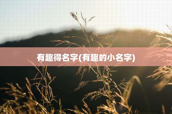 有趣得名字(有趣的小名字)
