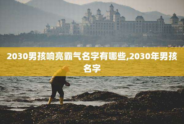2030男孩响亮霸气名字有哪些,2030年男孩名字