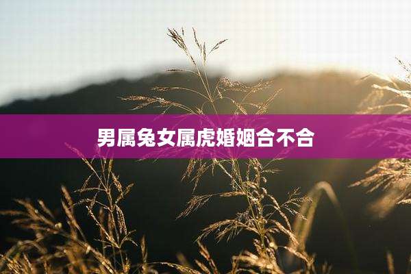 男属兔女属虎婚姻合不合