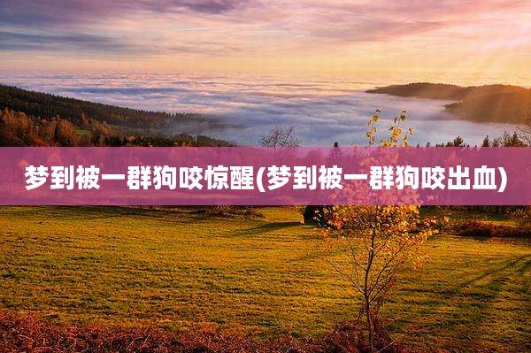 梦到被一群狗咬惊醒(梦到被一群狗咬出血)