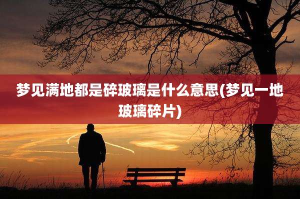 梦见满地都是碎玻璃是什么意思(梦见一地玻璃碎片)
