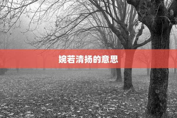 婉若清扬的意思