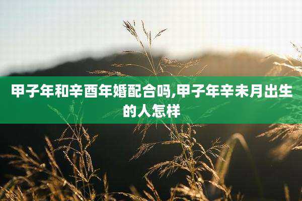 甲子年和辛酉年婚配合吗,甲子年辛未月出生的人怎样