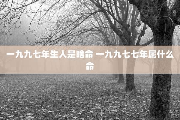 一九九七年生人是啥命 一九九七七年属什么命