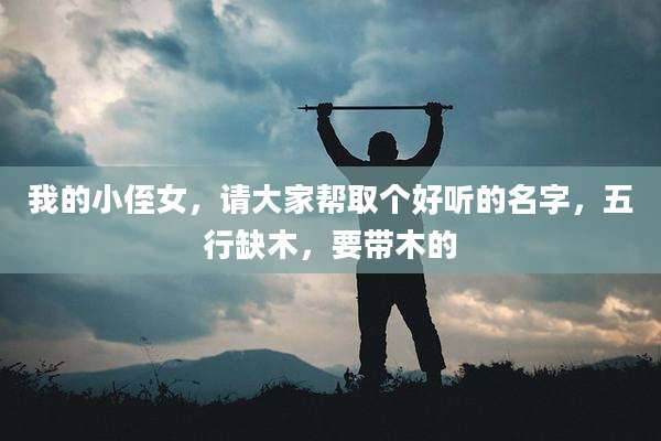 我的小侄女，请大家帮取个好听的名字，五行缺木，要带木的